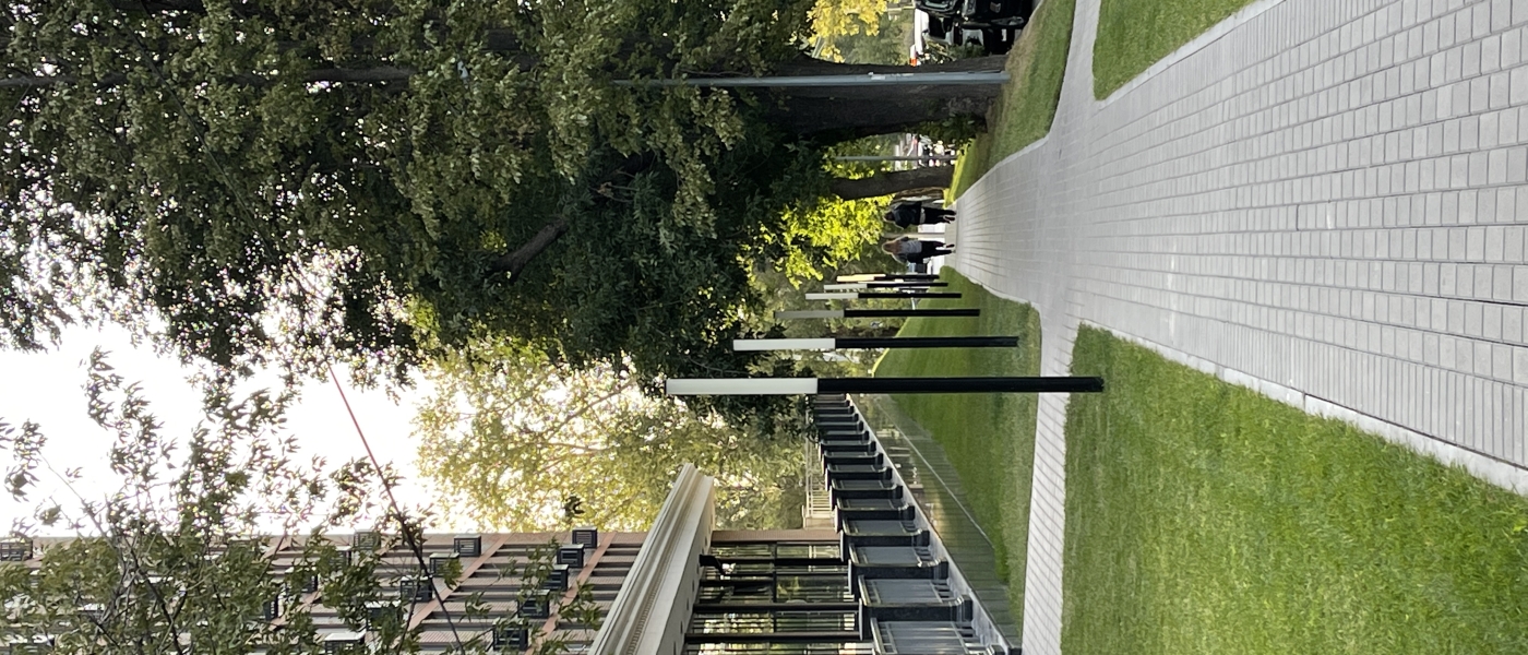 Благоустройство KM Tower